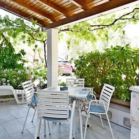 Novotny- Zuti * Banjol